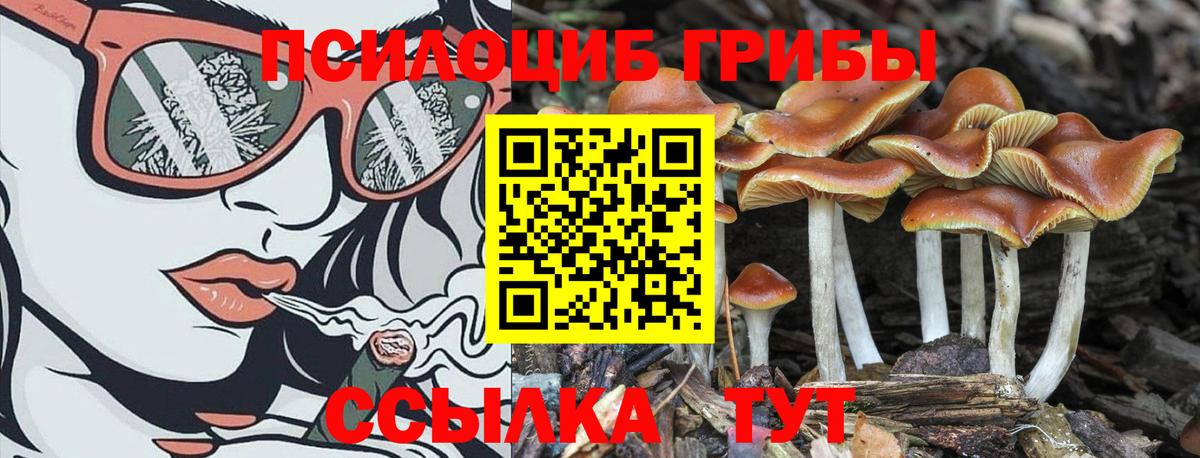 Псилоцибиновые грибы прущие грибы  Вход с VPN  Каменка  Галлюциногенные грибы прущие грибы 